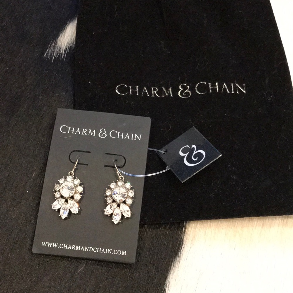 Rhinestone earrings NWT - Charm & Chain